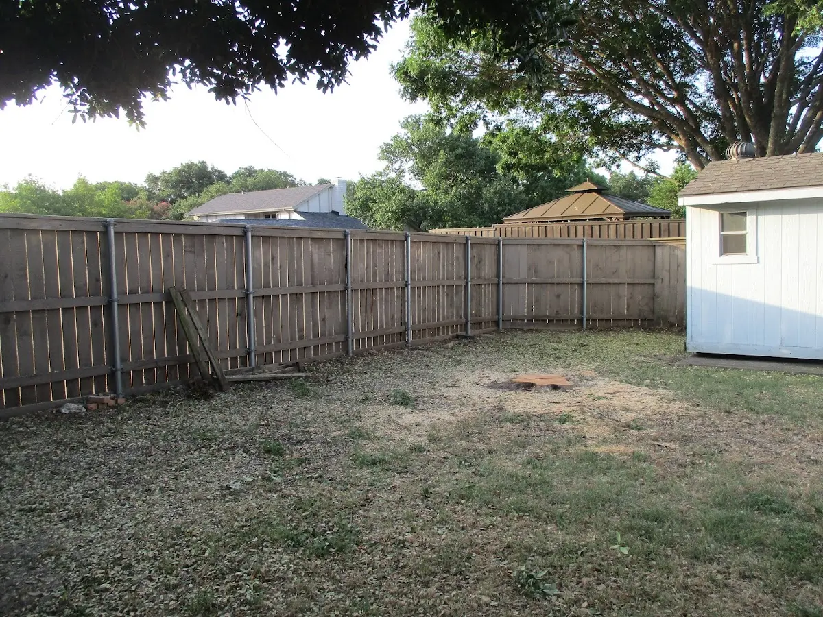 Cleared yard after professional tree removal in West Elizabeth