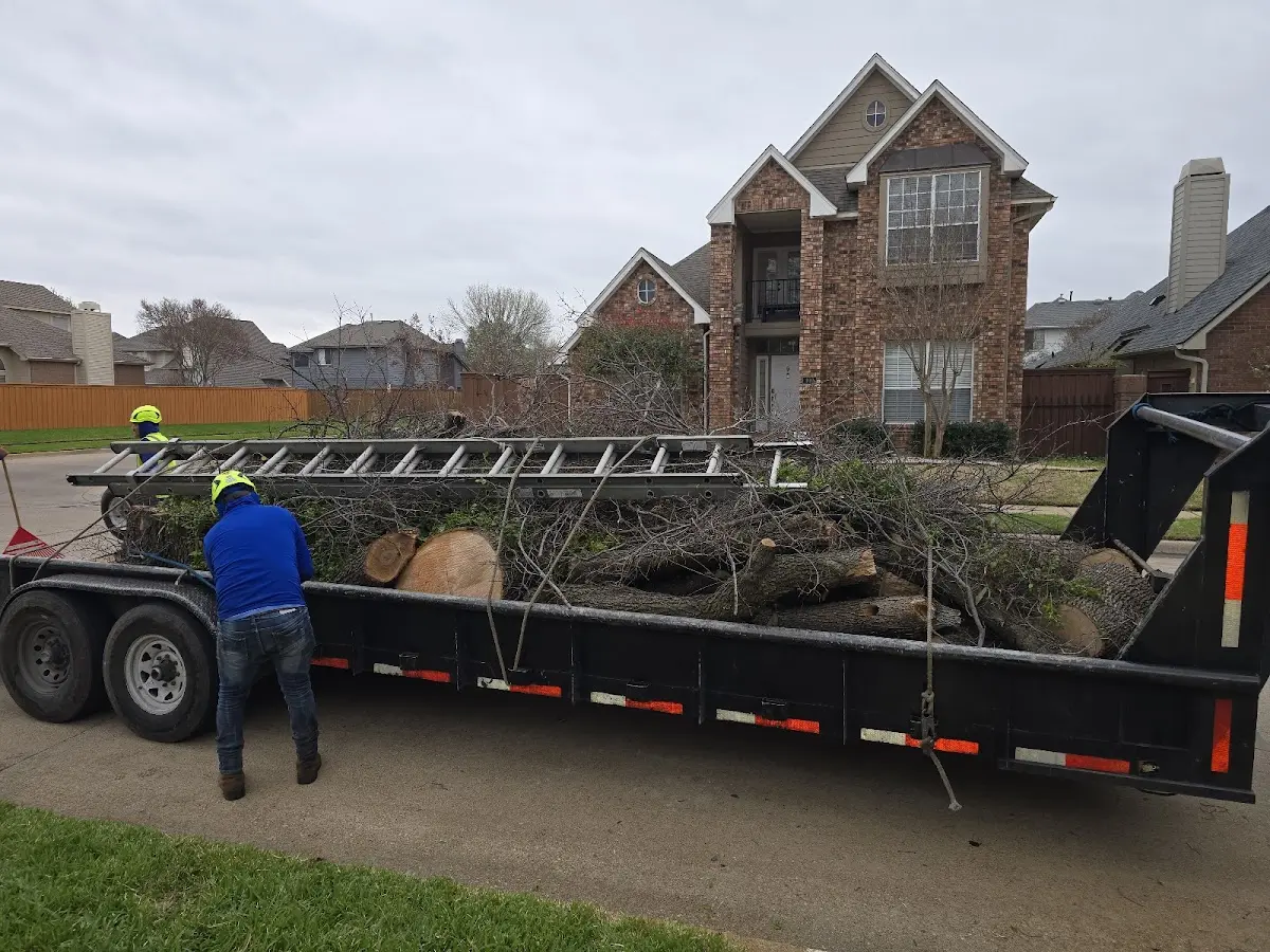 Expert Tree Fertilization with proper safety equipment in West Elizabeth